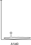 L_W11d0117 A01.0040 J804 ma ma